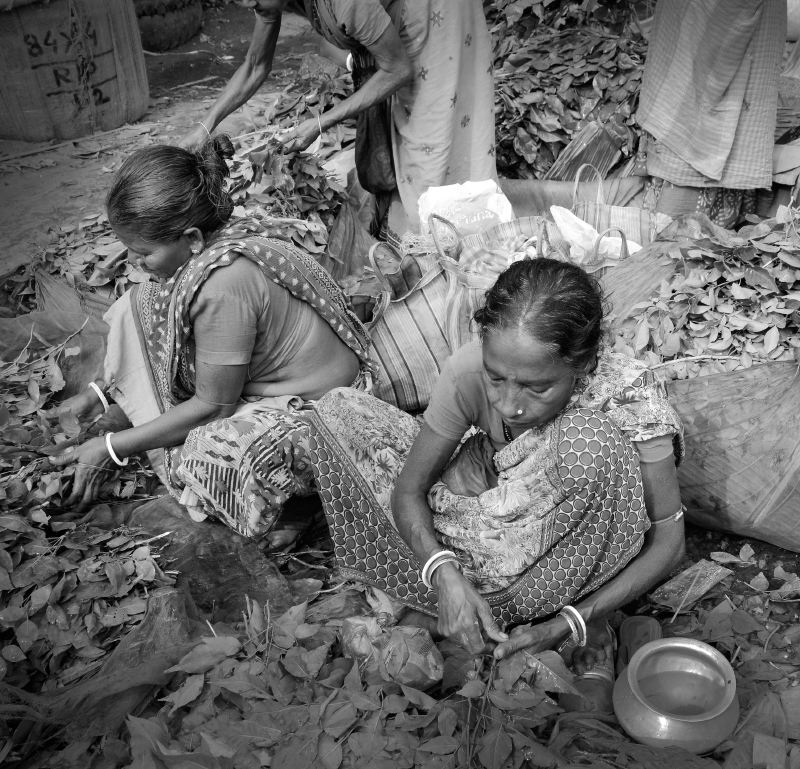 Malik ghat flower market.Kulkata