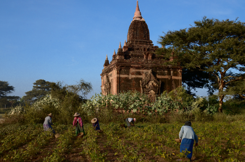 Shwesandaw Paya.Bagan