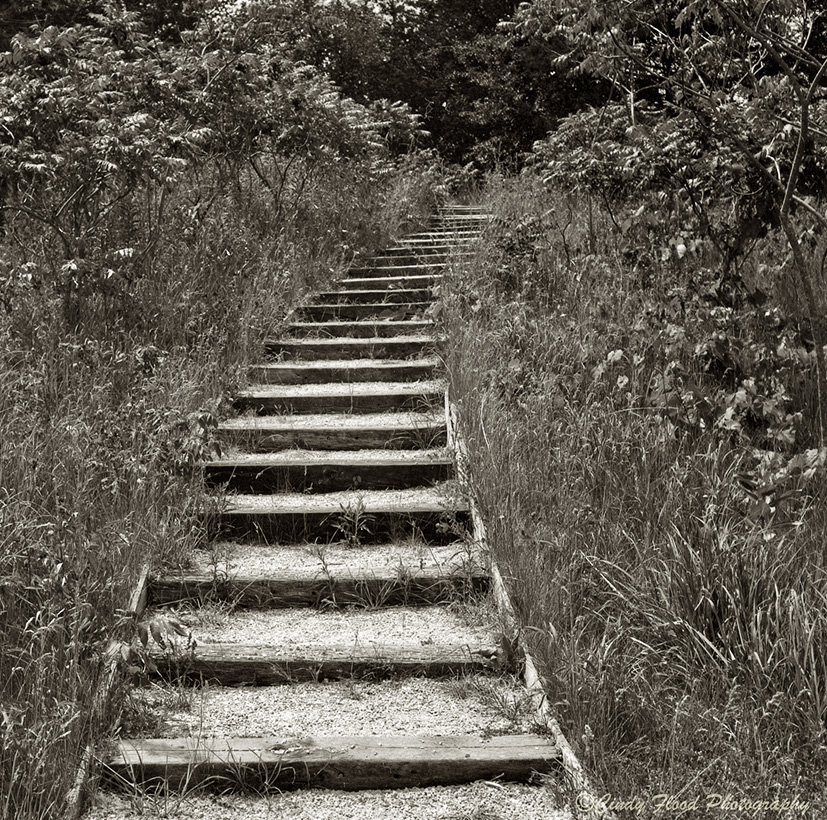 Kettle Moraine stairs