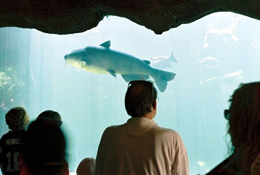 10_underwater.JPG