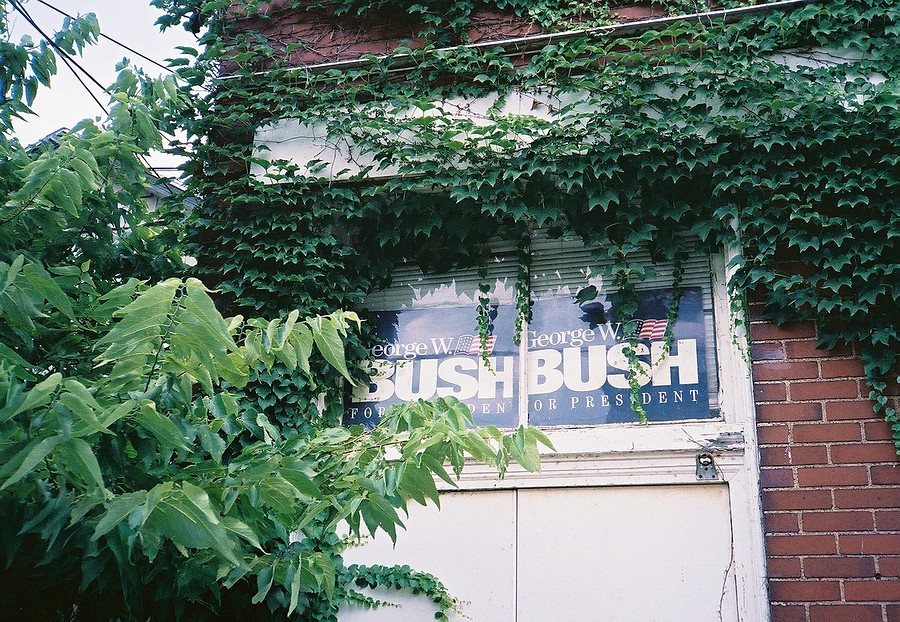 109_bush.JPG