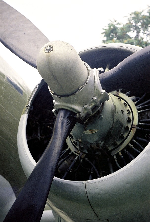 C4_0016.JPG