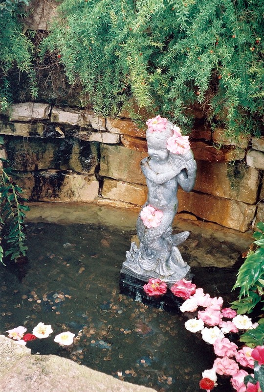 02camelliamaid.jpg