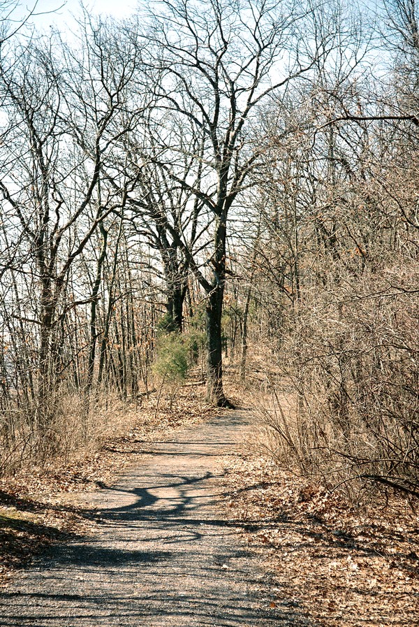 04_path.JPG