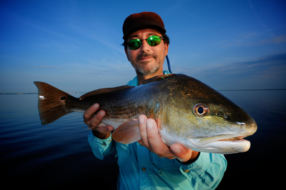 Redfish