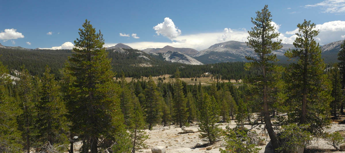 Tuolumne Meadows