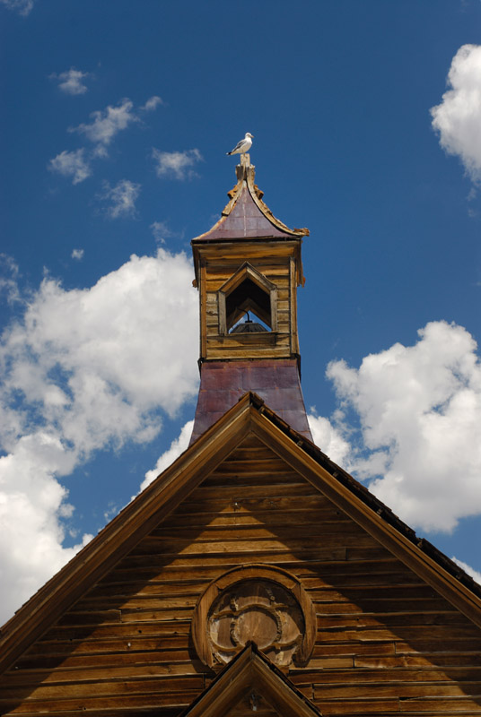 Methodist Church Steeple Gull