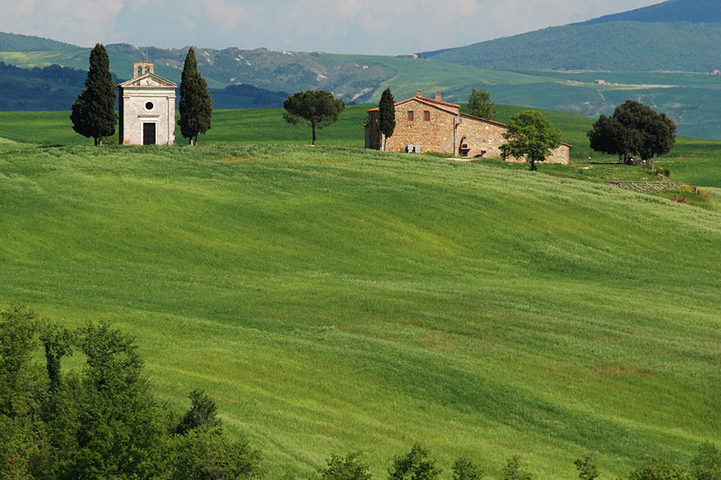 Vitaleta