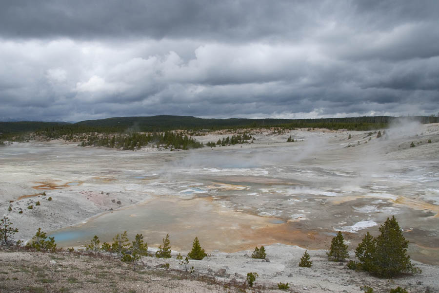 Norris Geyser Basin