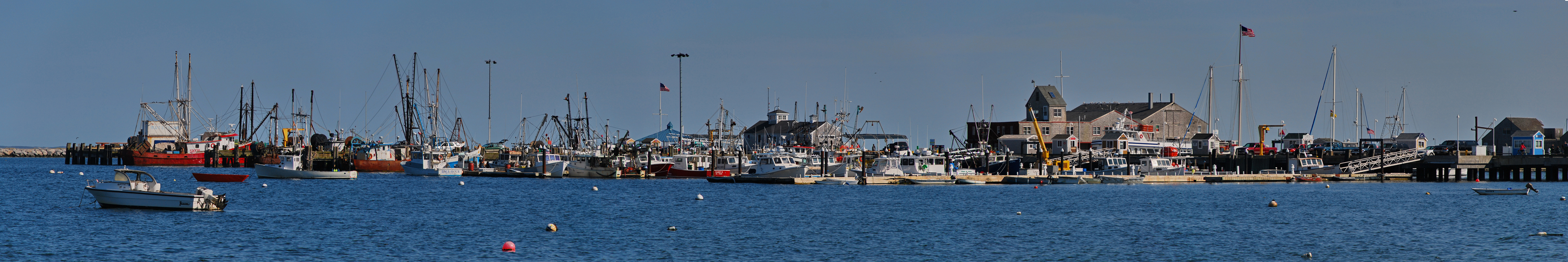 Cape Cod Pan_1.JPG
