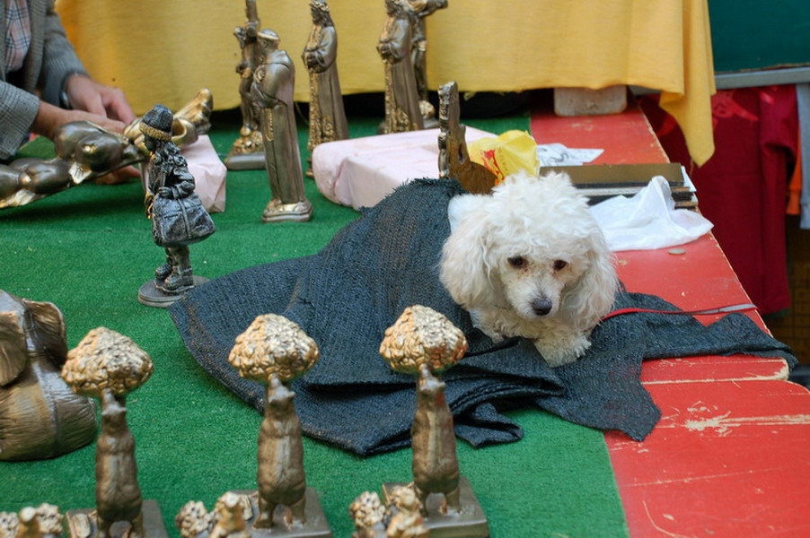 Rastro Market_15.JPG