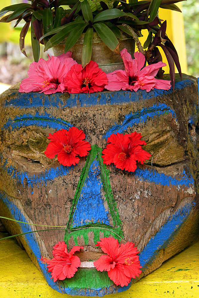Tropical Face
