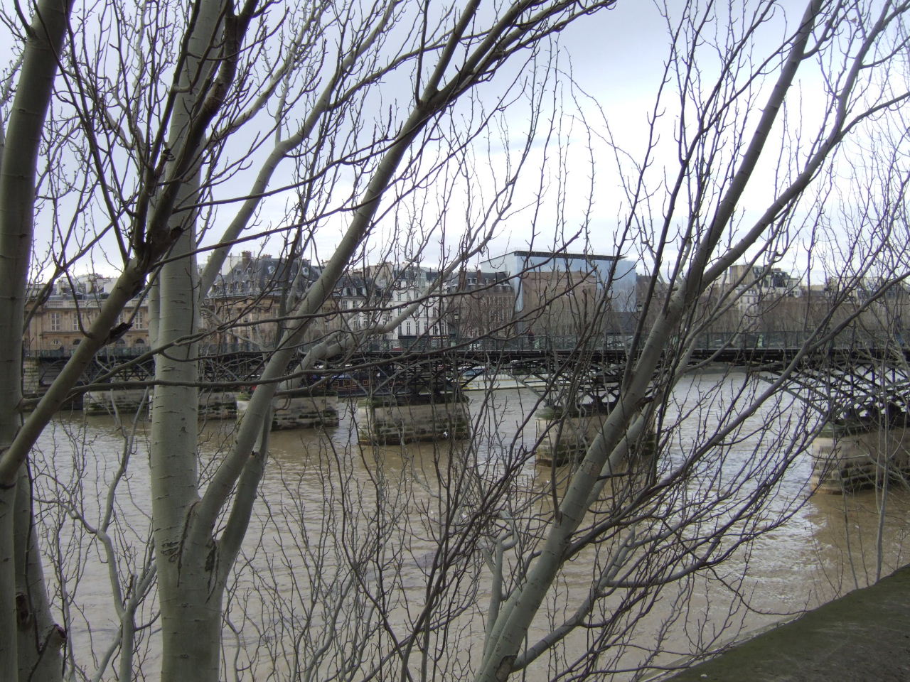 SD06 View from Right Bank - Pont des Arts.JPG