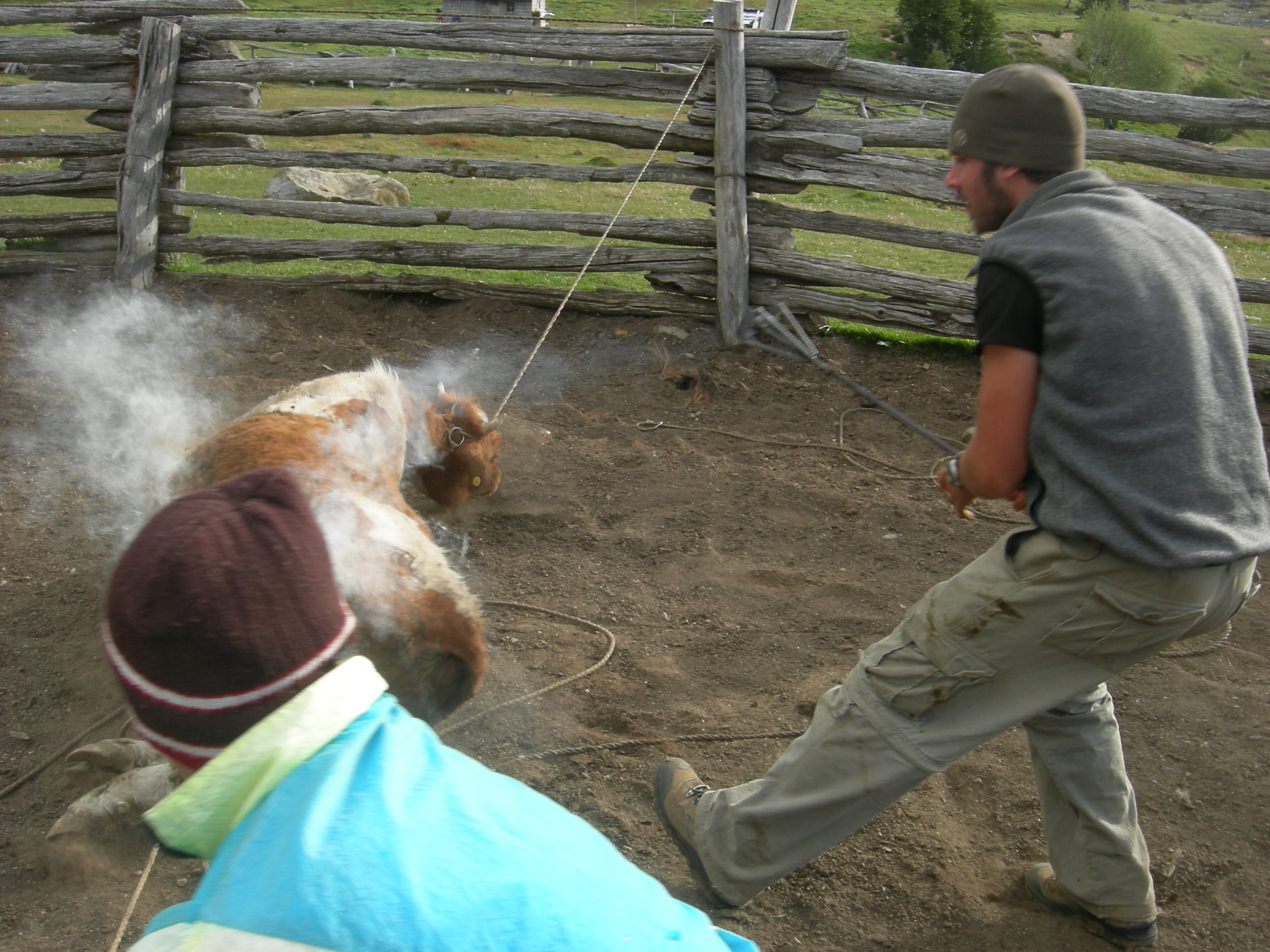 DSCN1605.JPG