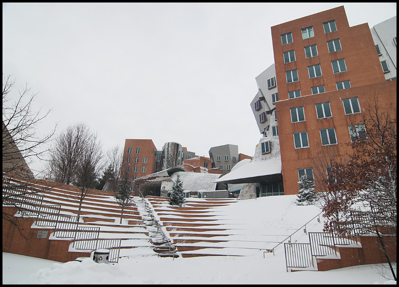 Stata Center
