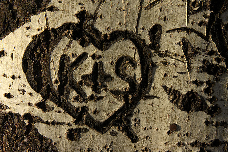 Love forever