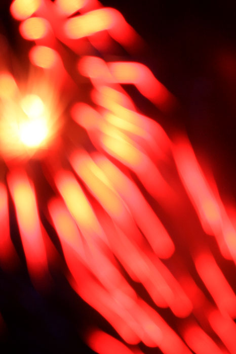 Red light flower