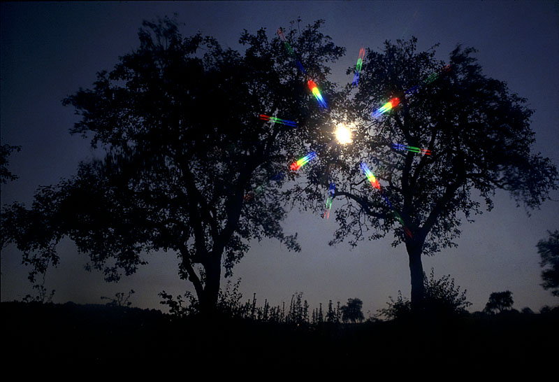 Contre-jour