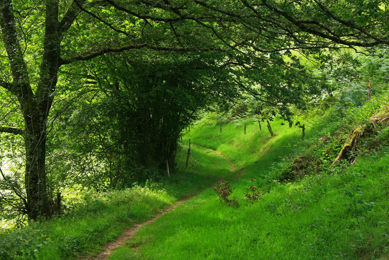 Chemin creusois