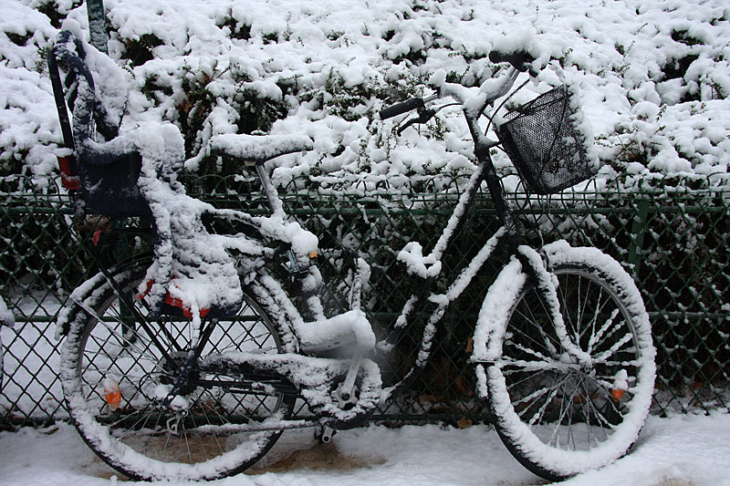 Velo cameleon