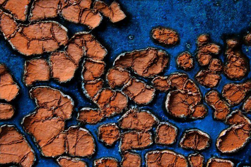 Terra Incognita