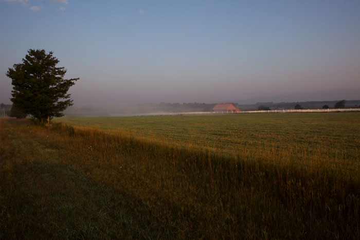 _MG_0364.jpg