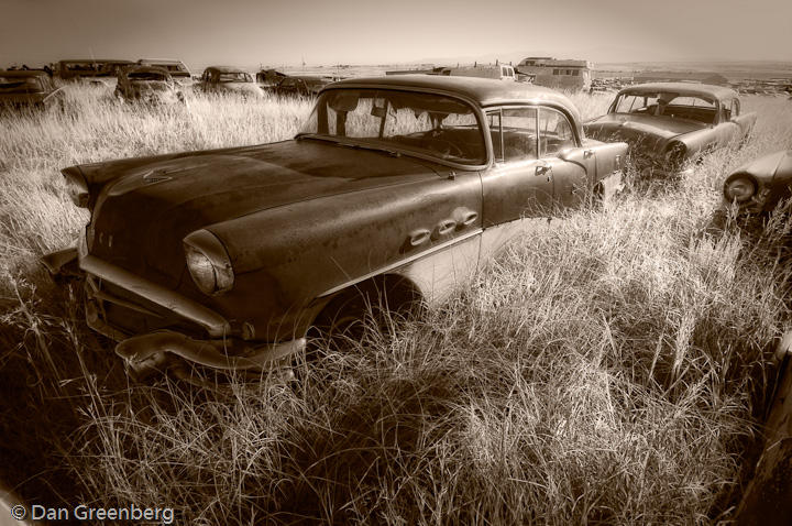 1956 Buick Special in Sepia