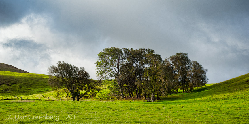 Mountain Cattle Pasture