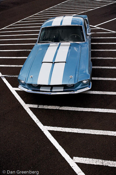 67 Shelby GT500 Portrait