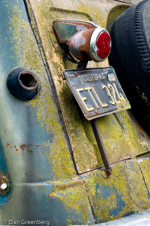 51 Ford - Moss and Rust 3