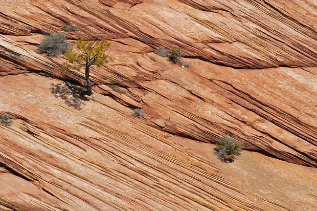 Zion National Park