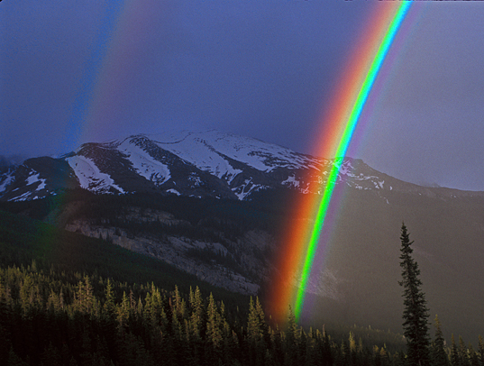 Jasper National Park, Alberta, Canada