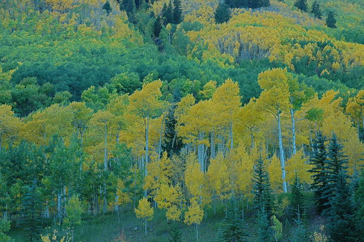Maroon Canyon, Colorado