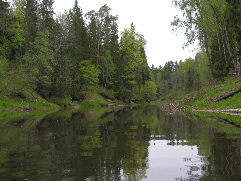 Abava