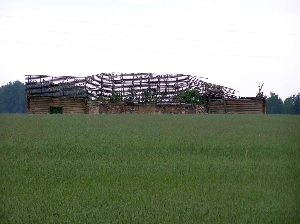 Burtnieki area