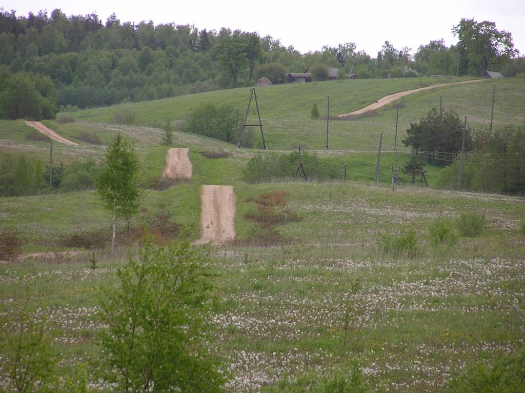 Demene area