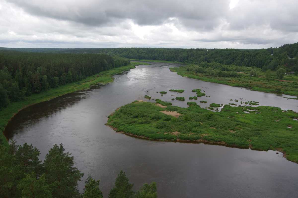 Daugavas loki
