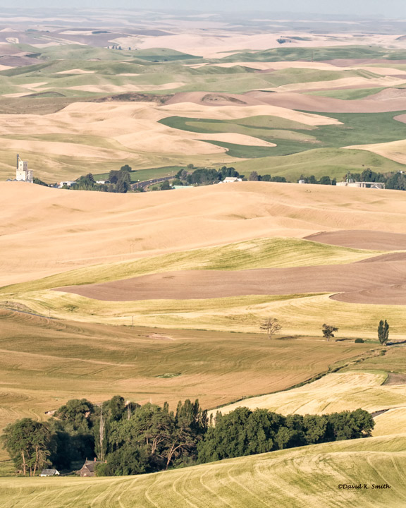 Palouse from Steptoe Butte