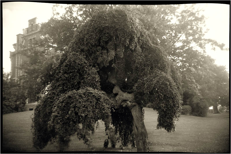 Kodak Baby Brownie 127