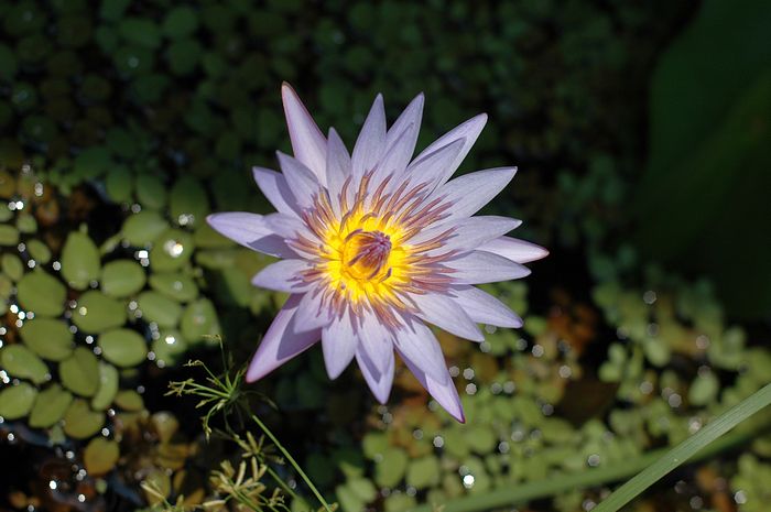 ez_DSC_6748.JPG