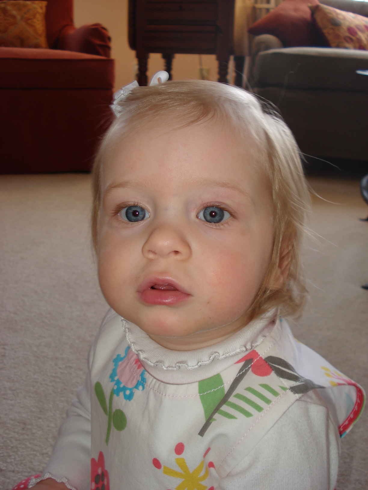 DSC02464.JPG