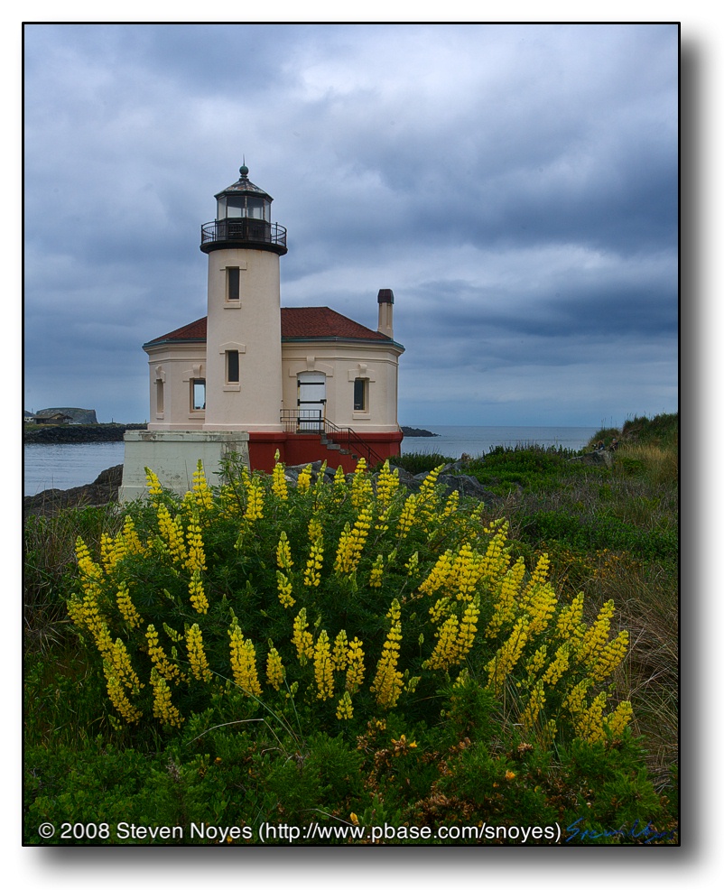 Lighthouses : Bandon OR