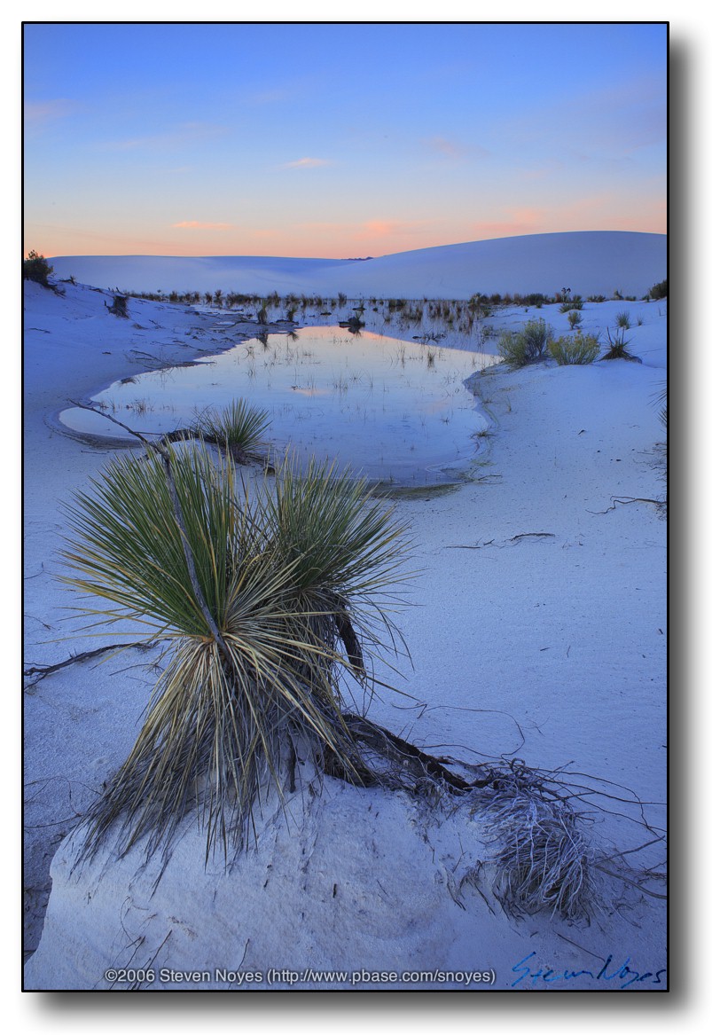 White Sands : Yuccas Pond