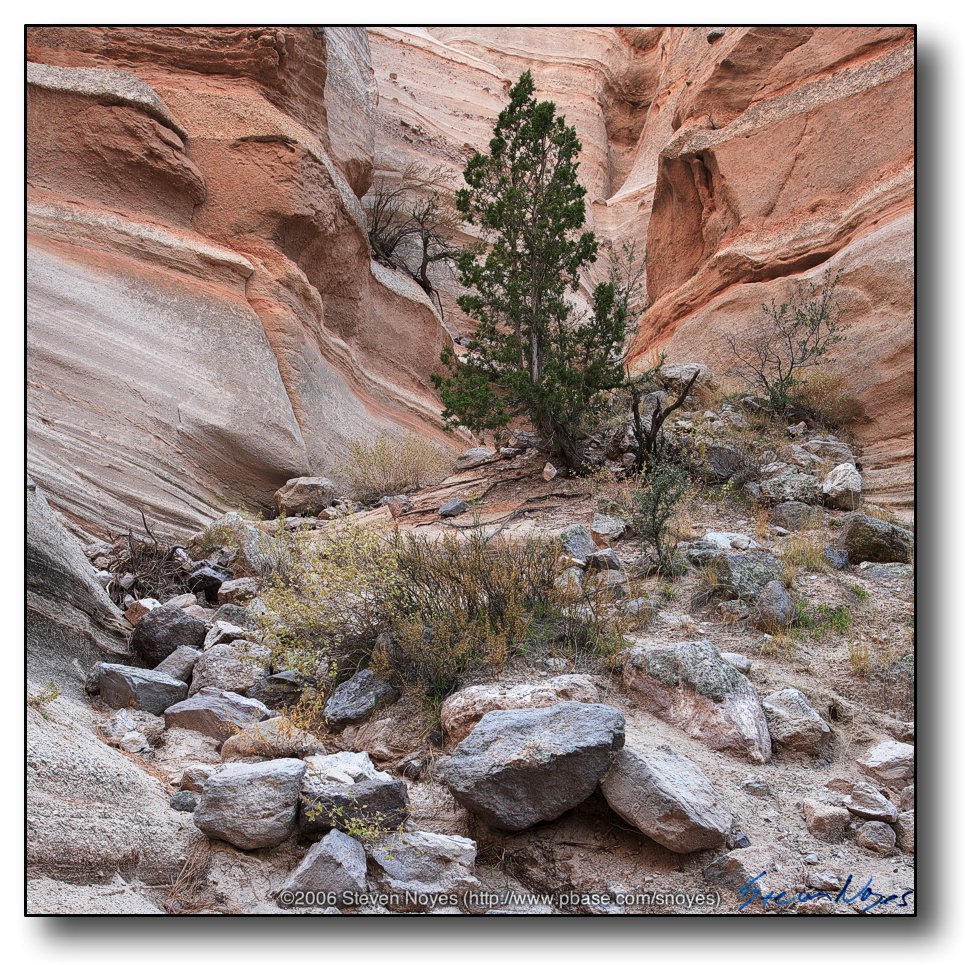 Tent Rocks : Slot Canyon