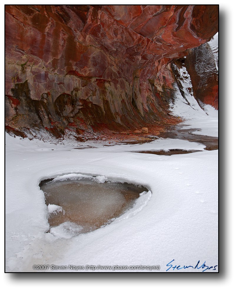 Oak Creek Canyon : West Fork in Snow II