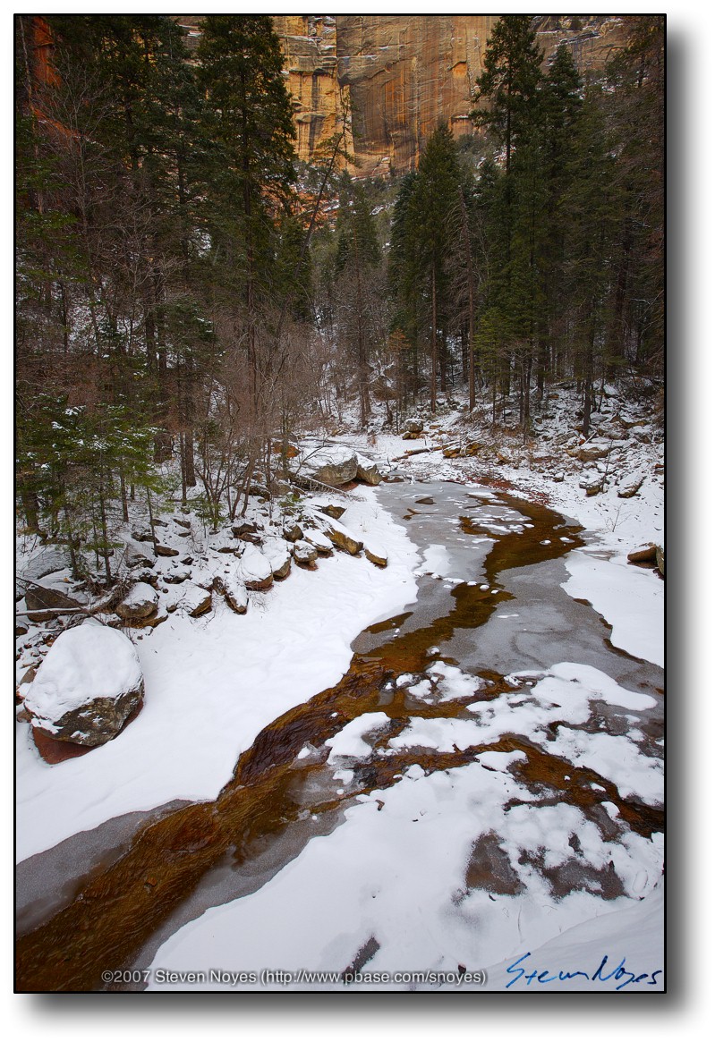 Oak Creek Canyon - West Fork in Snow IV