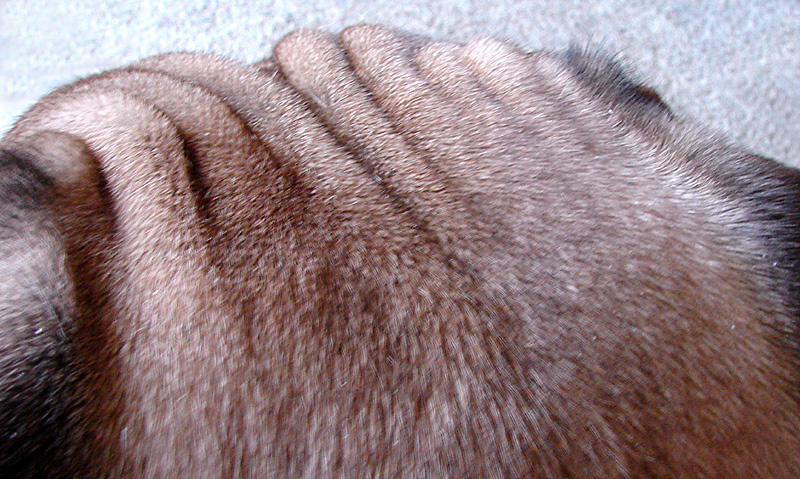 Furrowed