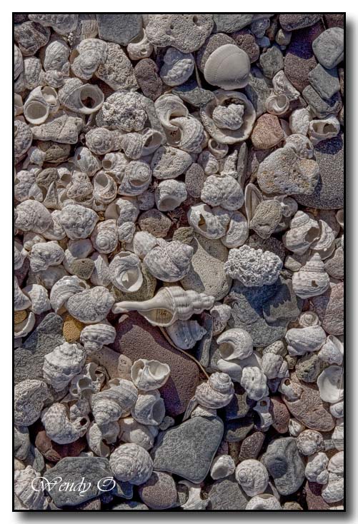 Many Shells