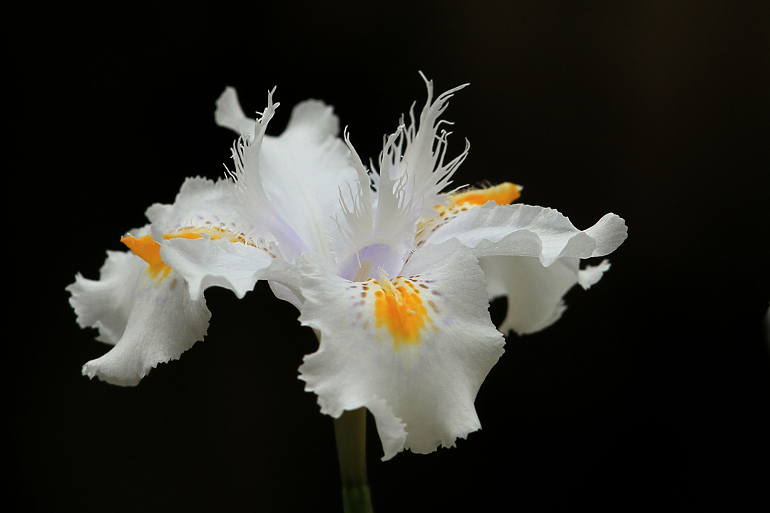 IMG_3673 copy.jpg