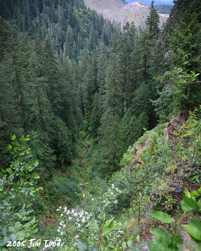 The cliff, horse trailer at the bottom